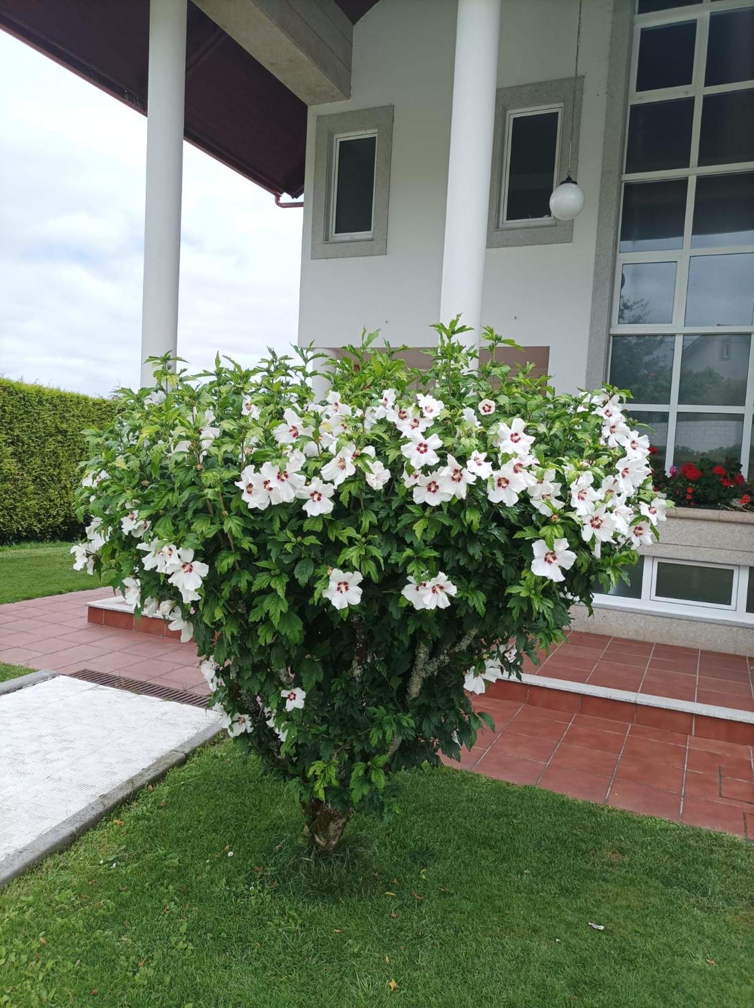 הוילה סנטיאגו דה קומפוסטלה Casa D Aitana מראה חיצוני תמונה